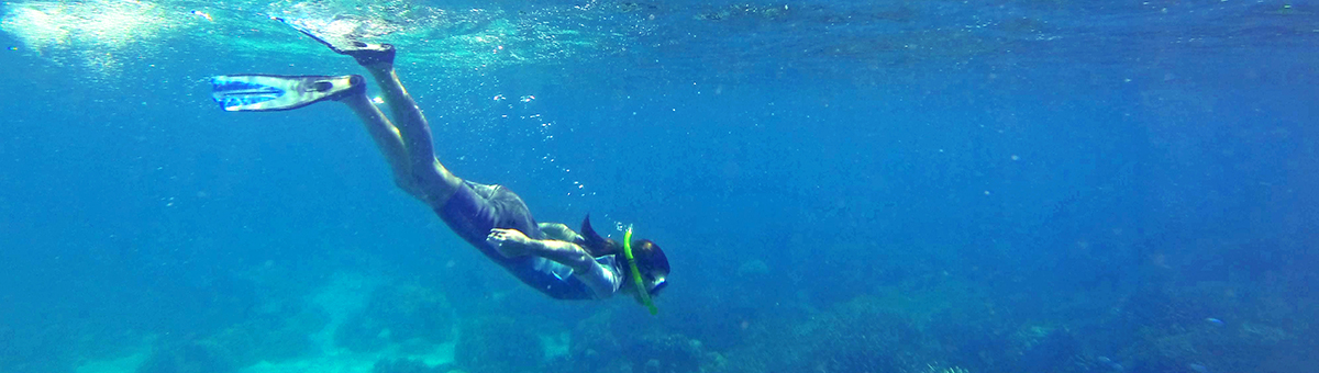 excursions to Chumbe Island for snorkeling in the protected reef