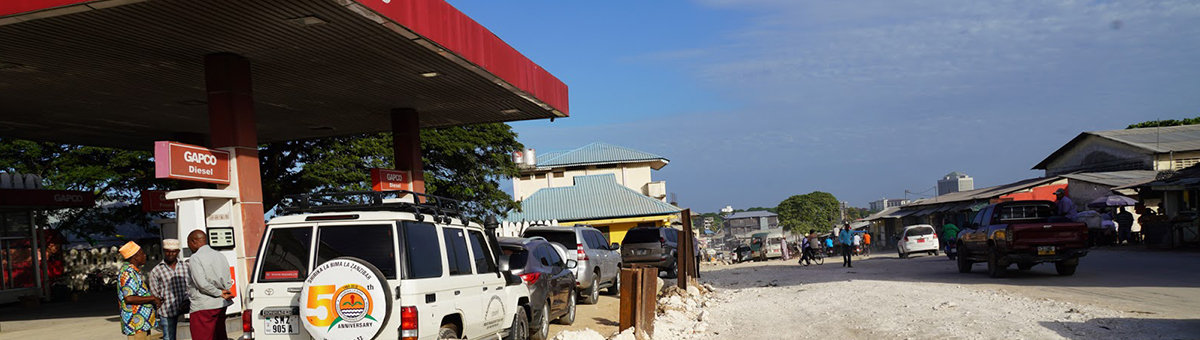 The Eagle Zanzibar Car Rental Company Limited